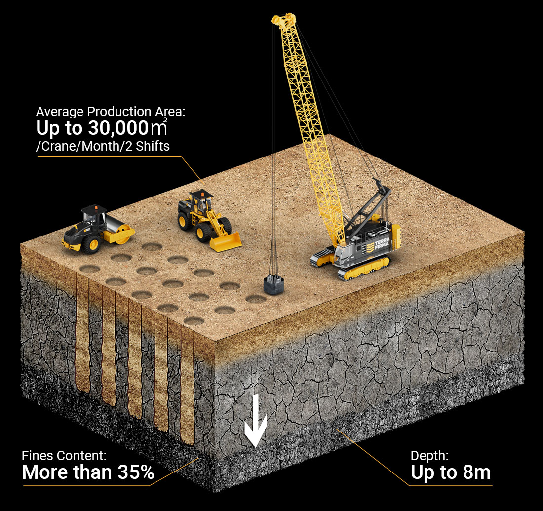 Dynamic Replacement Infographic